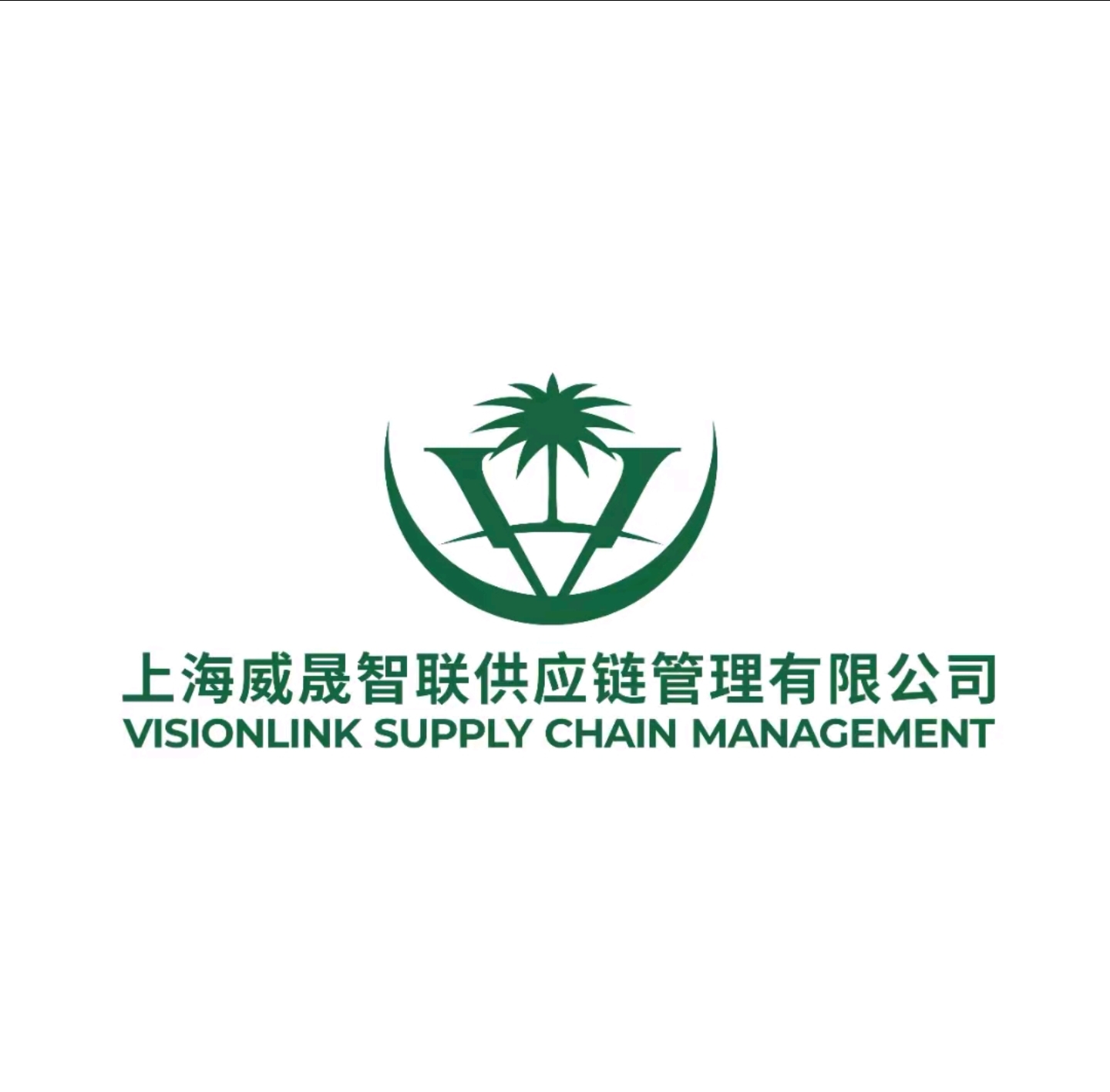 上海威晟智联供应链 Logo